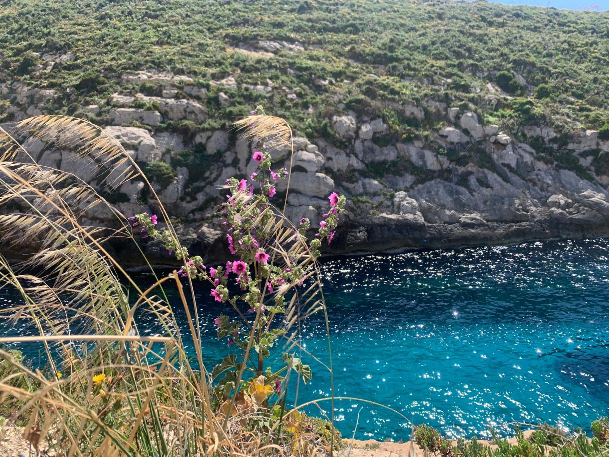 Private Bedroom With Balcony In A Shared Apartment At The Bay Of Xlendi Dış mekan fotoğraf